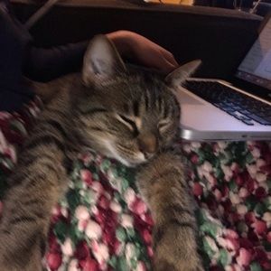 Meet your Posher, Mackenzie